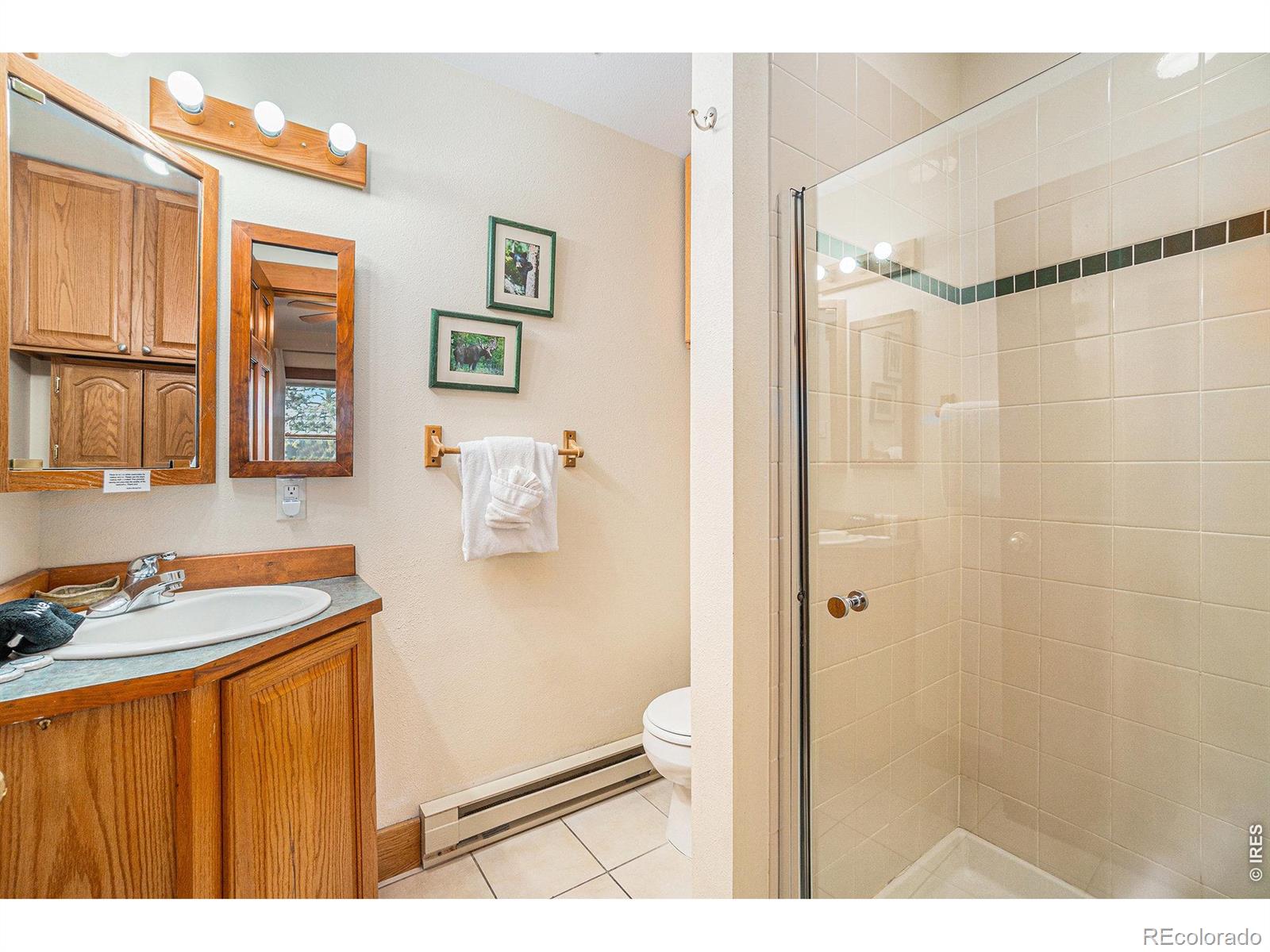 MLS Image #14 for 2625  marys lake road,estes park, Colorado