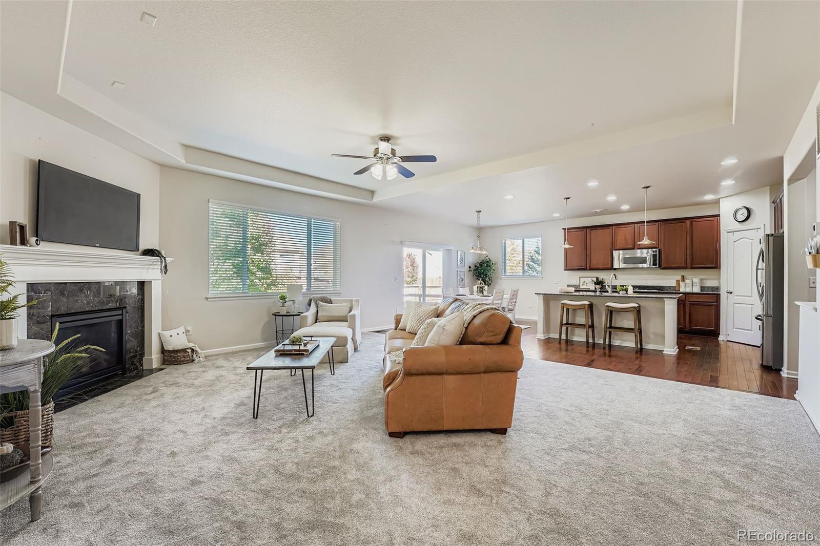 MLS Image #5 for 4645  longs peak street,brighton, Colorado
