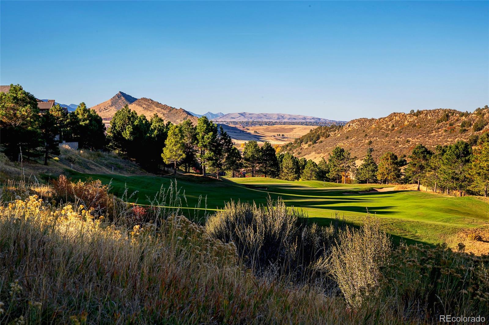 MLS Image #2 for 7572  raphael lane,littleton, Colorado