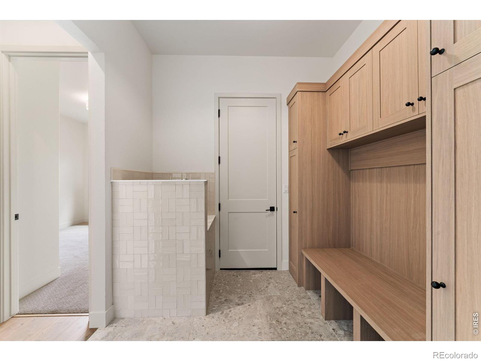 MLS Image #23 for 176  blue fortune drive,windsor, Colorado