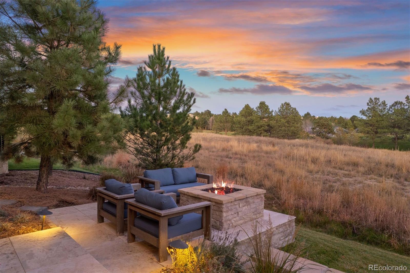 MLS Image #2 for 1155  lost elk circle,castle rock, Colorado