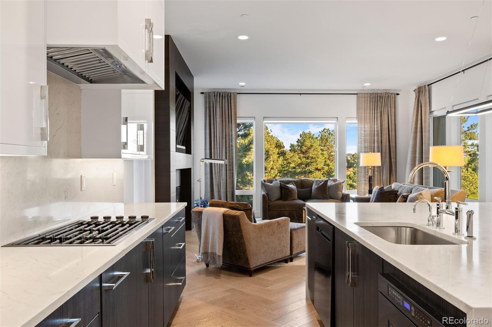 MLS Image #5 for 1155  lost elk circle,castle rock, Colorado