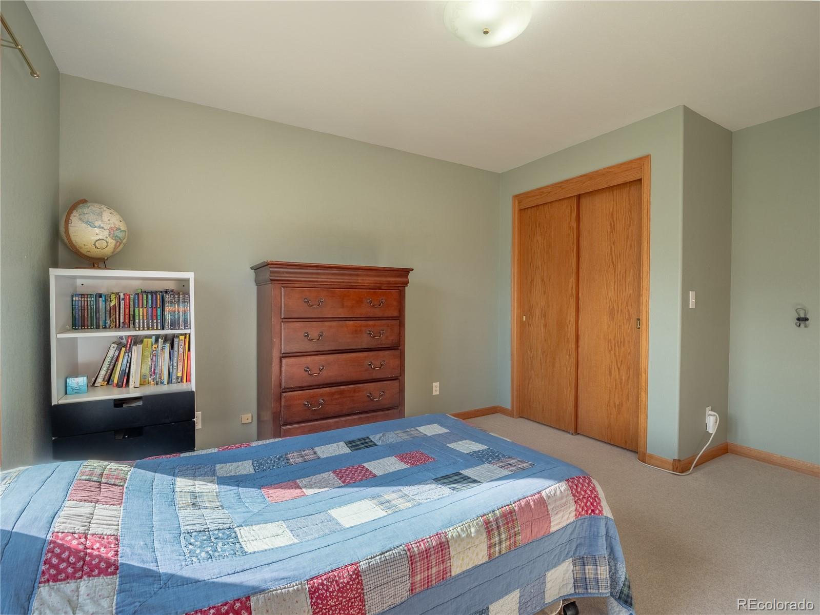 MLS Image #15 for 244  mesa court,salida, Colorado