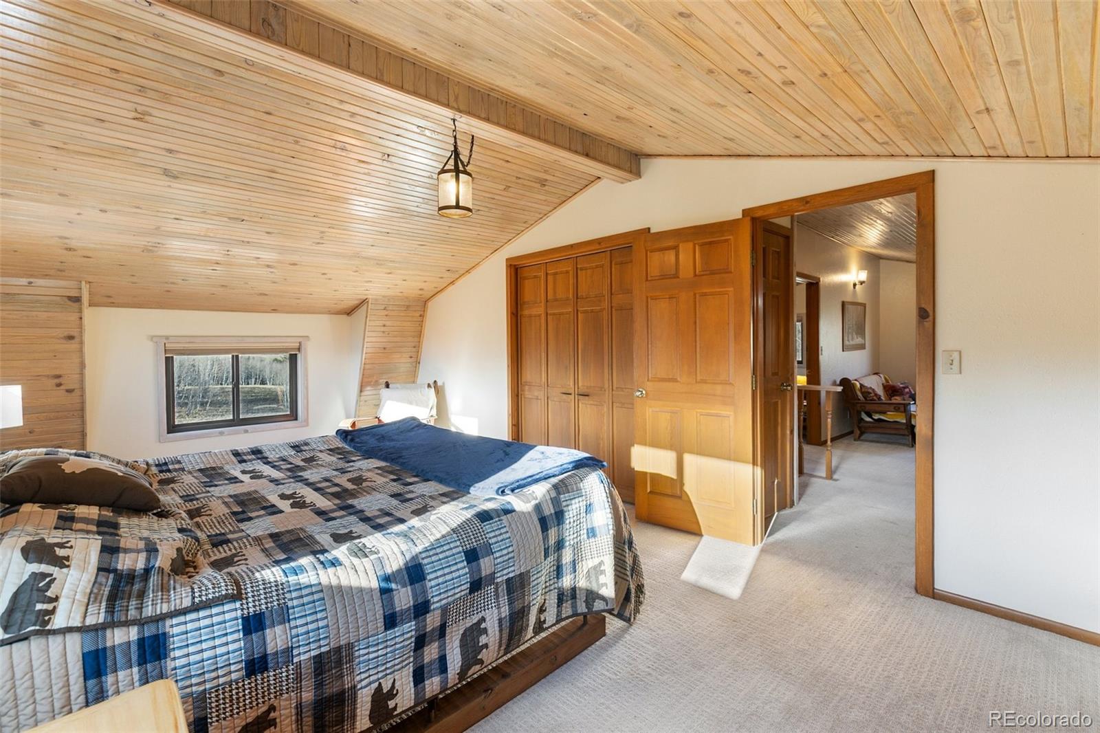 MLS Image #23 for 2387  buffalo ridge road,como, Colorado