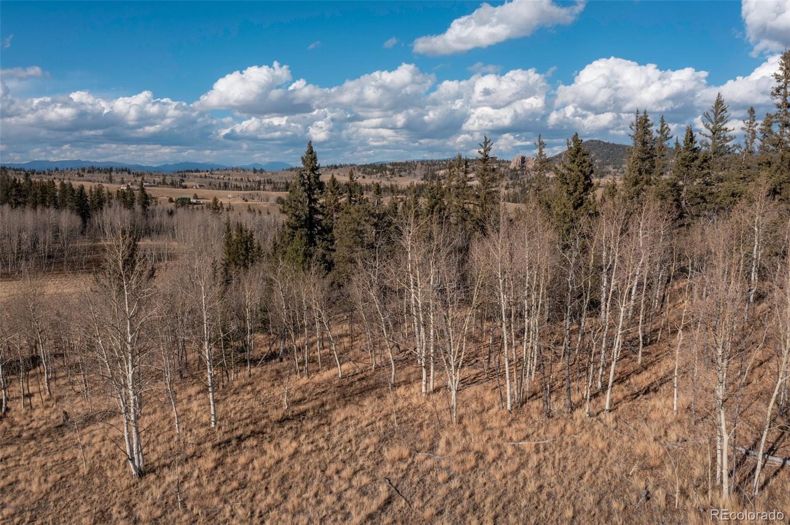 MLS Image #36 for 2387  buffalo ridge road,como, Colorado