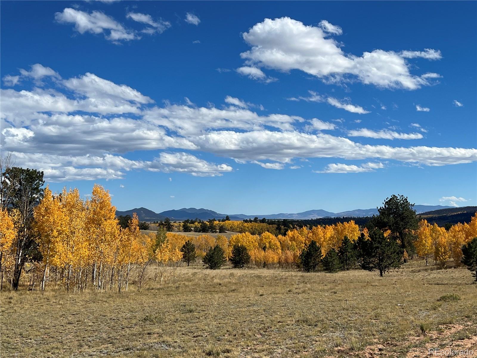 MLS Image #41 for 2387  buffalo ridge road,como, Colorado