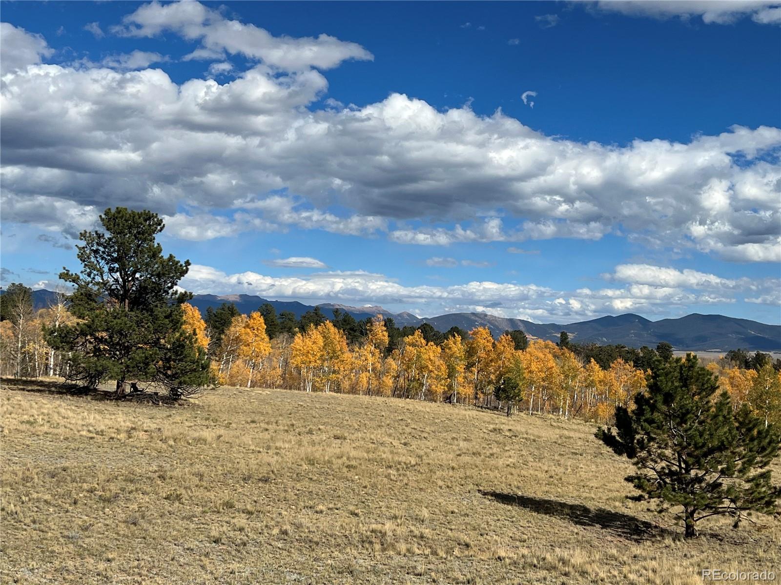 MLS Image #42 for 2387  buffalo ridge road,como, Colorado