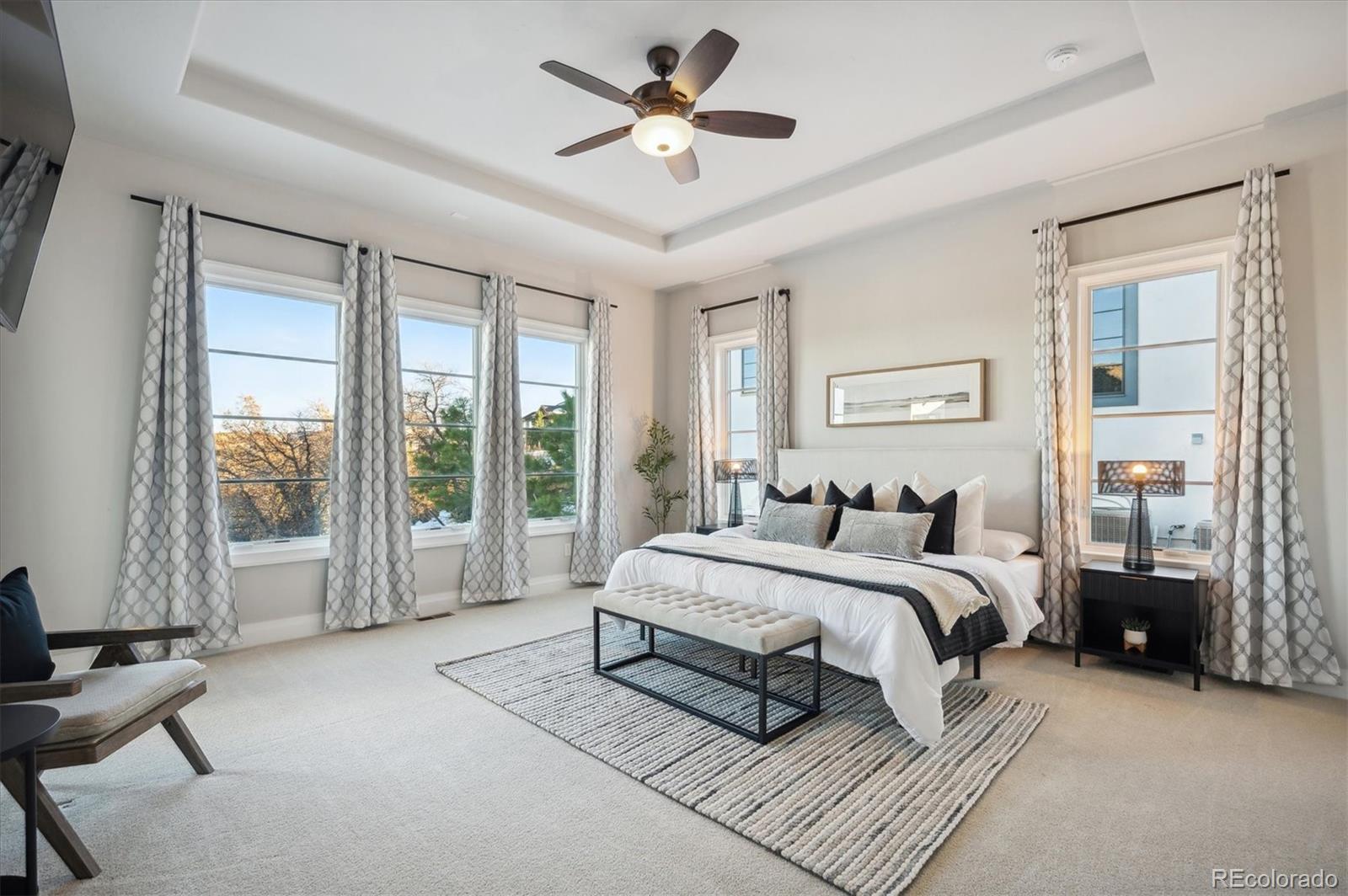 MLS Image #17 for 7912  galileo way,littleton, Colorado