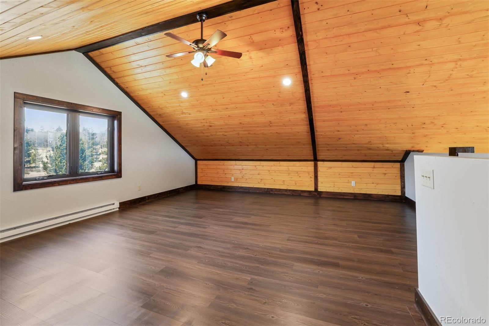 MLS Image #18 for 96  bluestem court,fairplay, Colorado