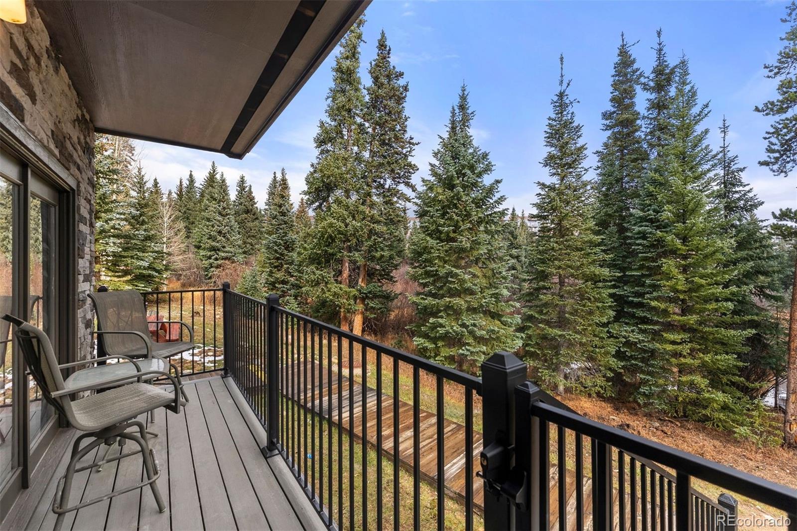 MLS Image #21 for 10500  ryan gulch road,silverthorne, Colorado