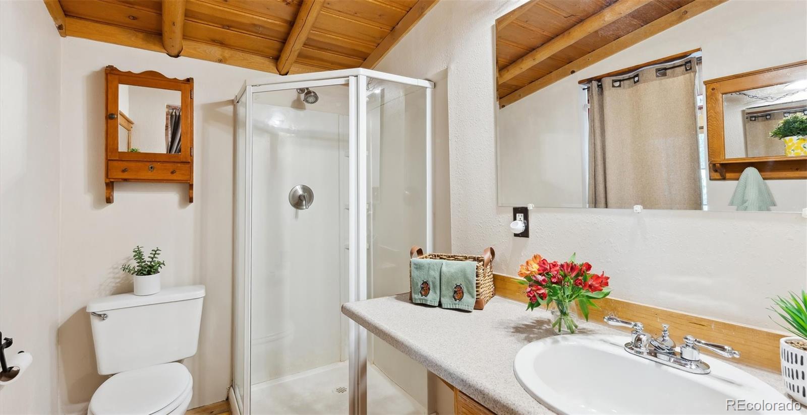 MLS Image #16 for 33885  la plata lane,pine, Colorado