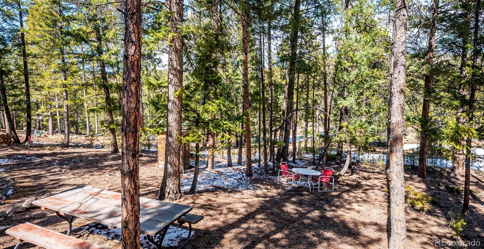 MLS Image #20 for 33885  la plata lane,pine, Colorado
