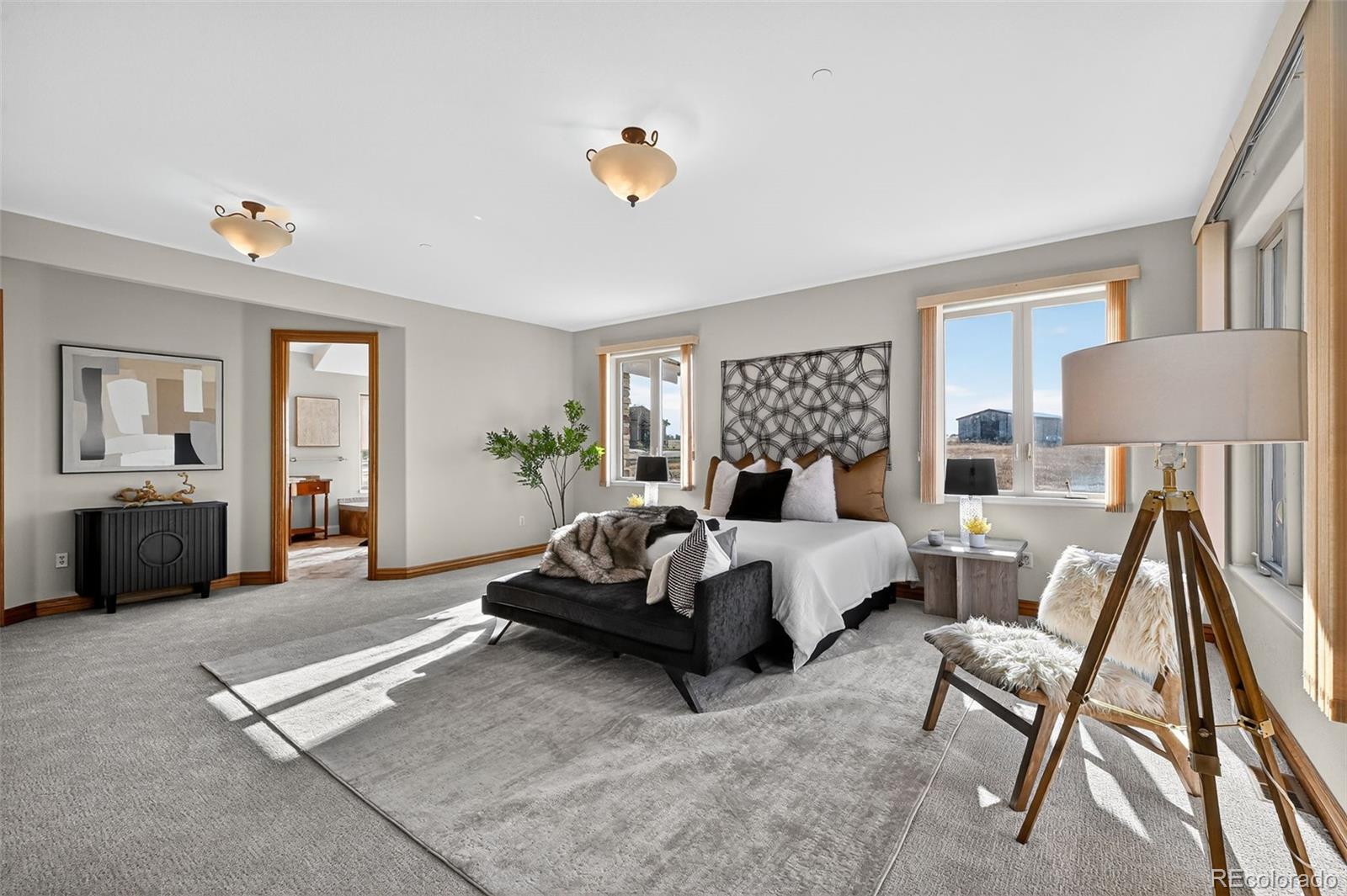 MLS Image #19 for 11631  dunrich road,parker, Colorado