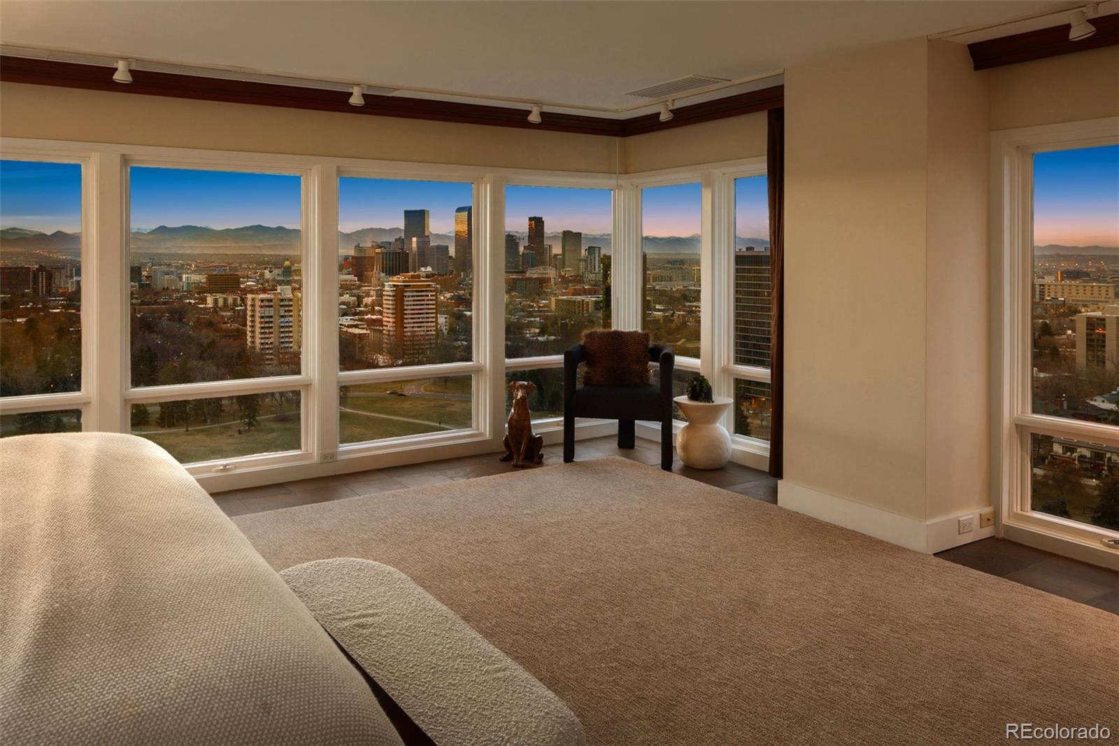 MLS Image #25 for 1133  race street,denver, Colorado