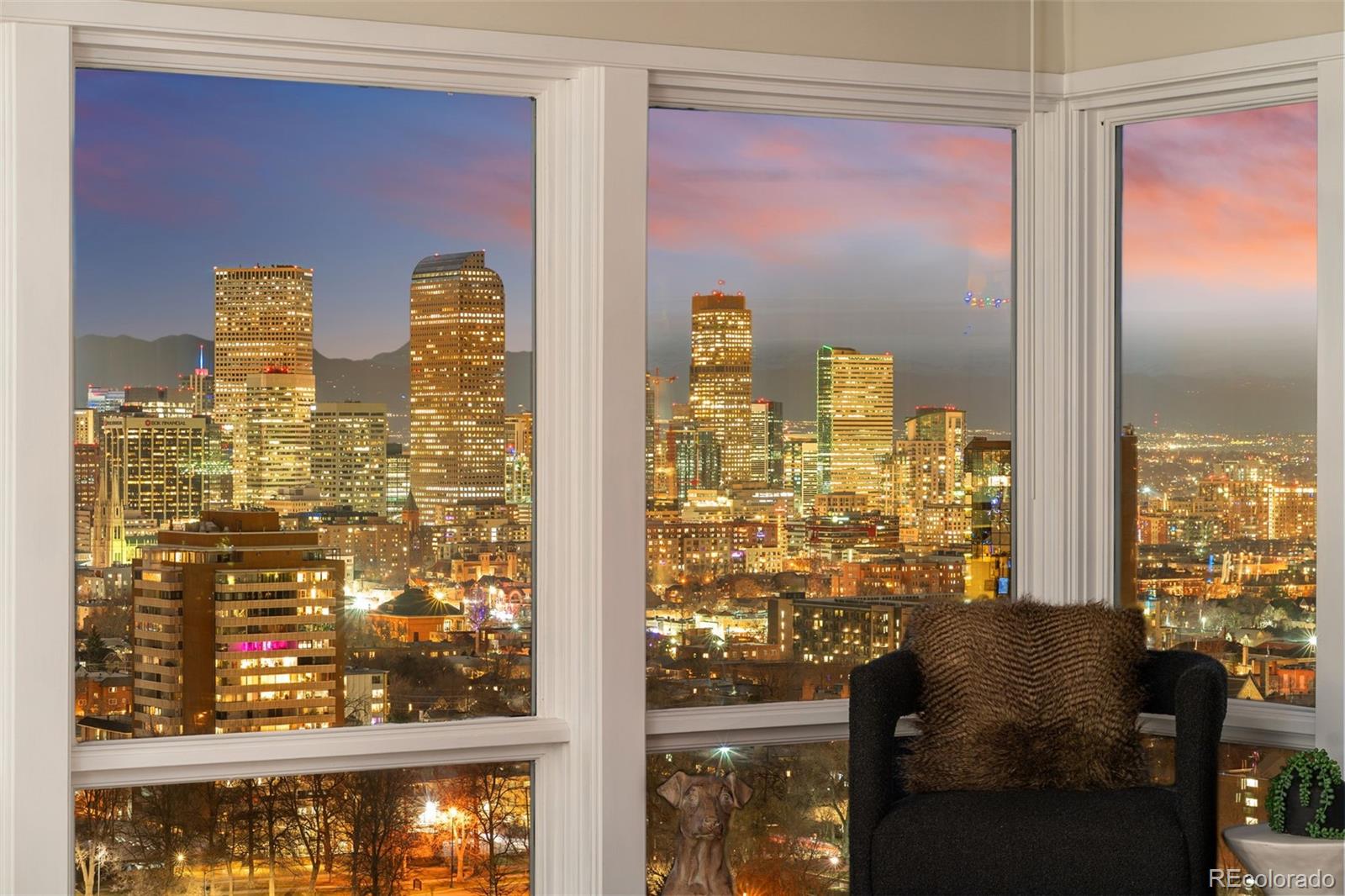 MLS Image #26 for 1133  race street,denver, Colorado