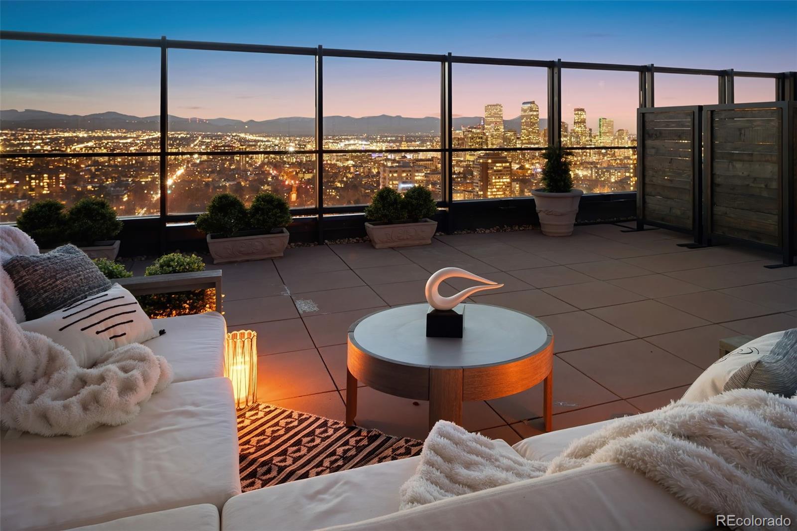 MLS Image #5 for 1133  race street,denver, Colorado