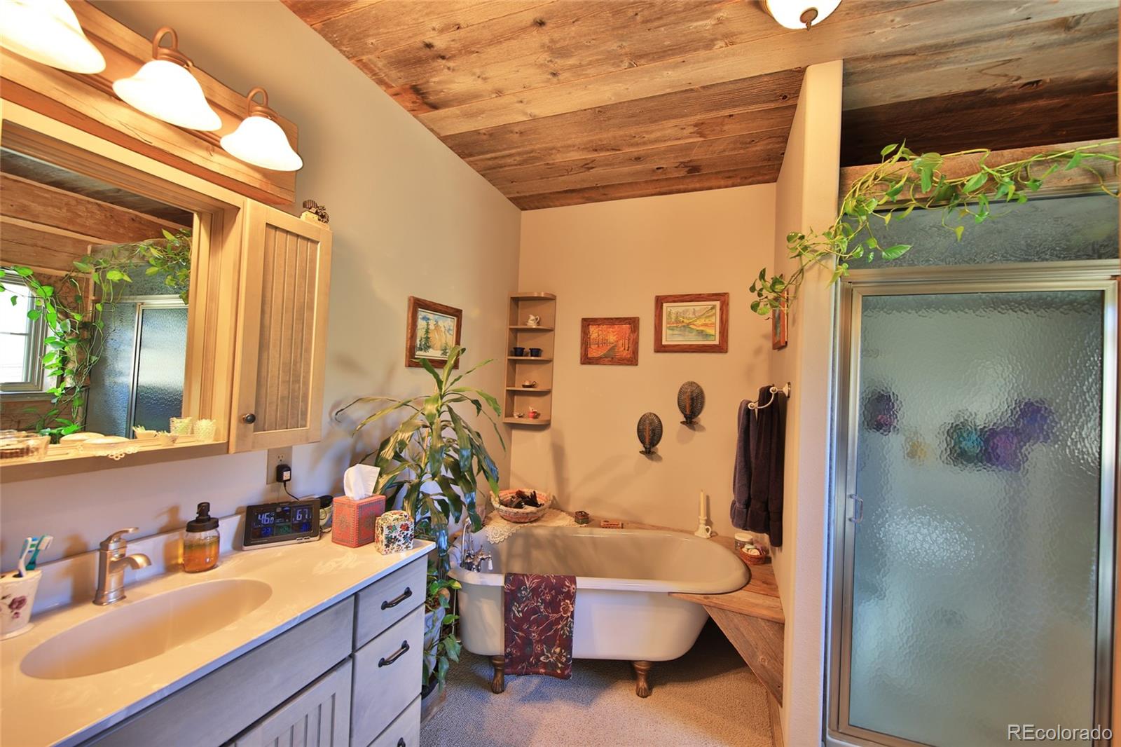 MLS Image #14 for 10497  54 7/10 road,molina, Colorado