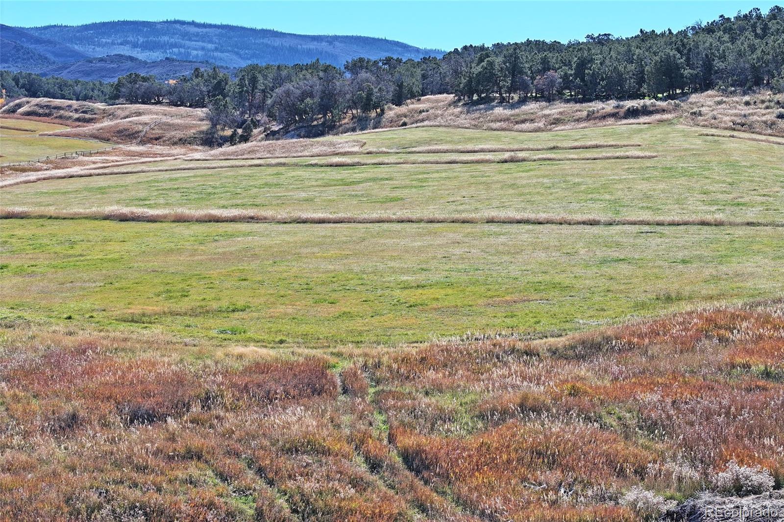 MLS Image #42 for 10497  54 7/10 road,molina, Colorado