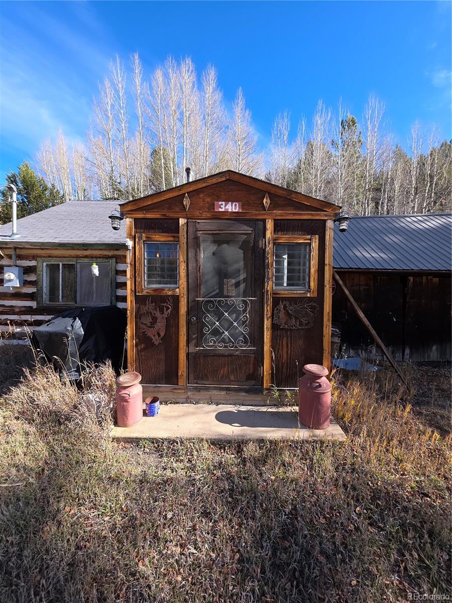 MLS Image #10 for 316  main ,bonanza, Colorado