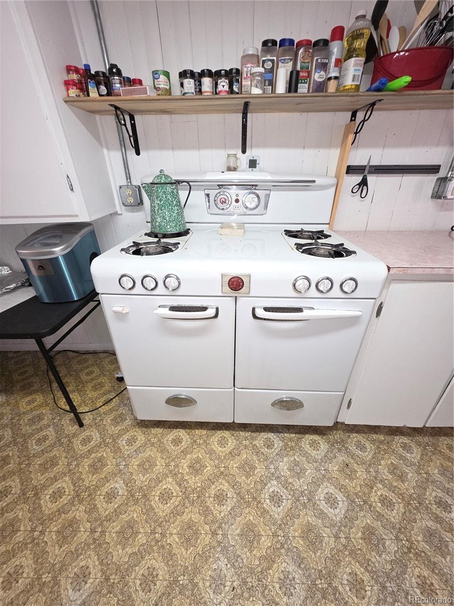 MLS Image #12 for 316  main ,bonanza, Colorado