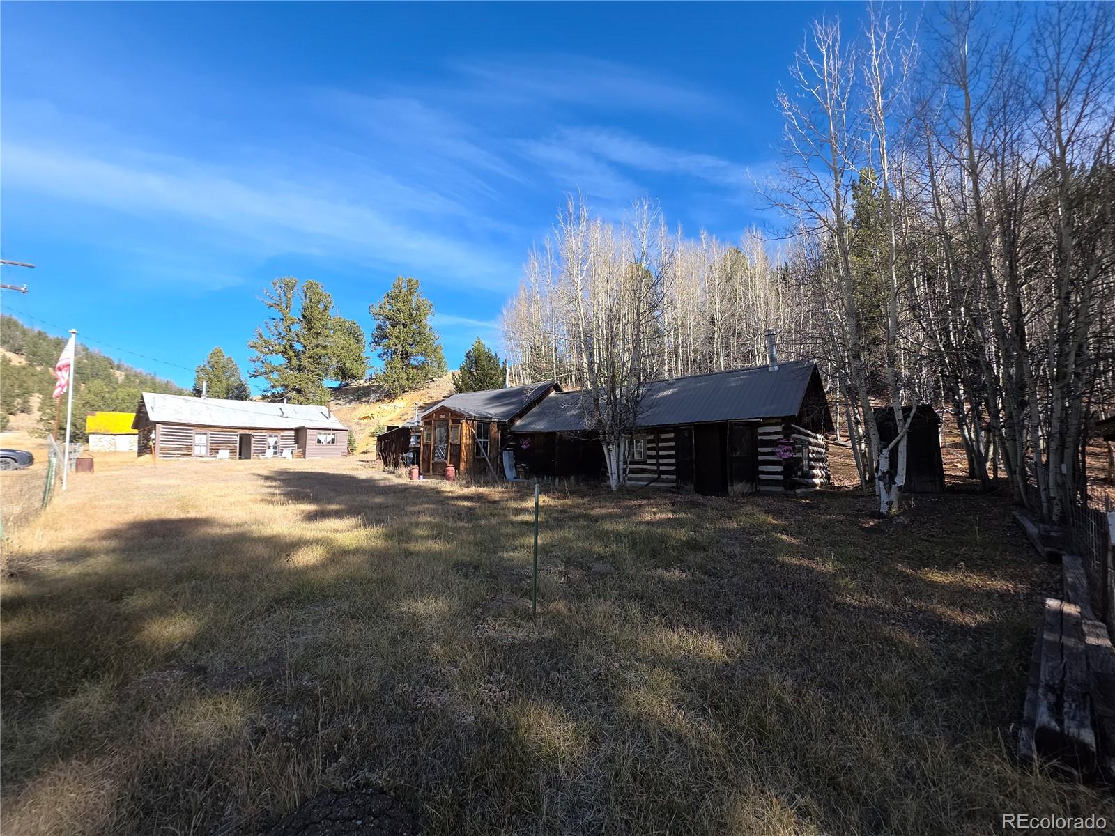 MLS Image #3 for 316  main ,bonanza, Colorado