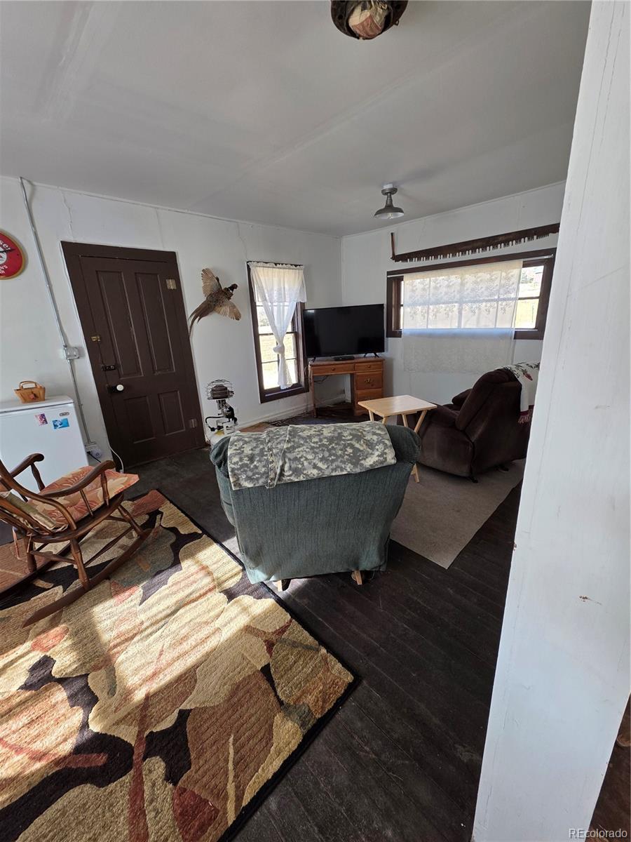 MLS Image #5 for 316  main ,bonanza, Colorado