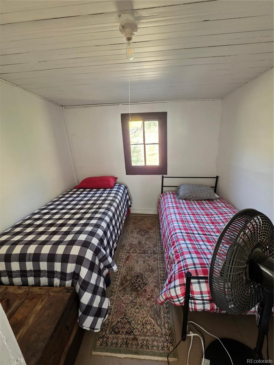 MLS Image #7 for 316  main ,bonanza, Colorado