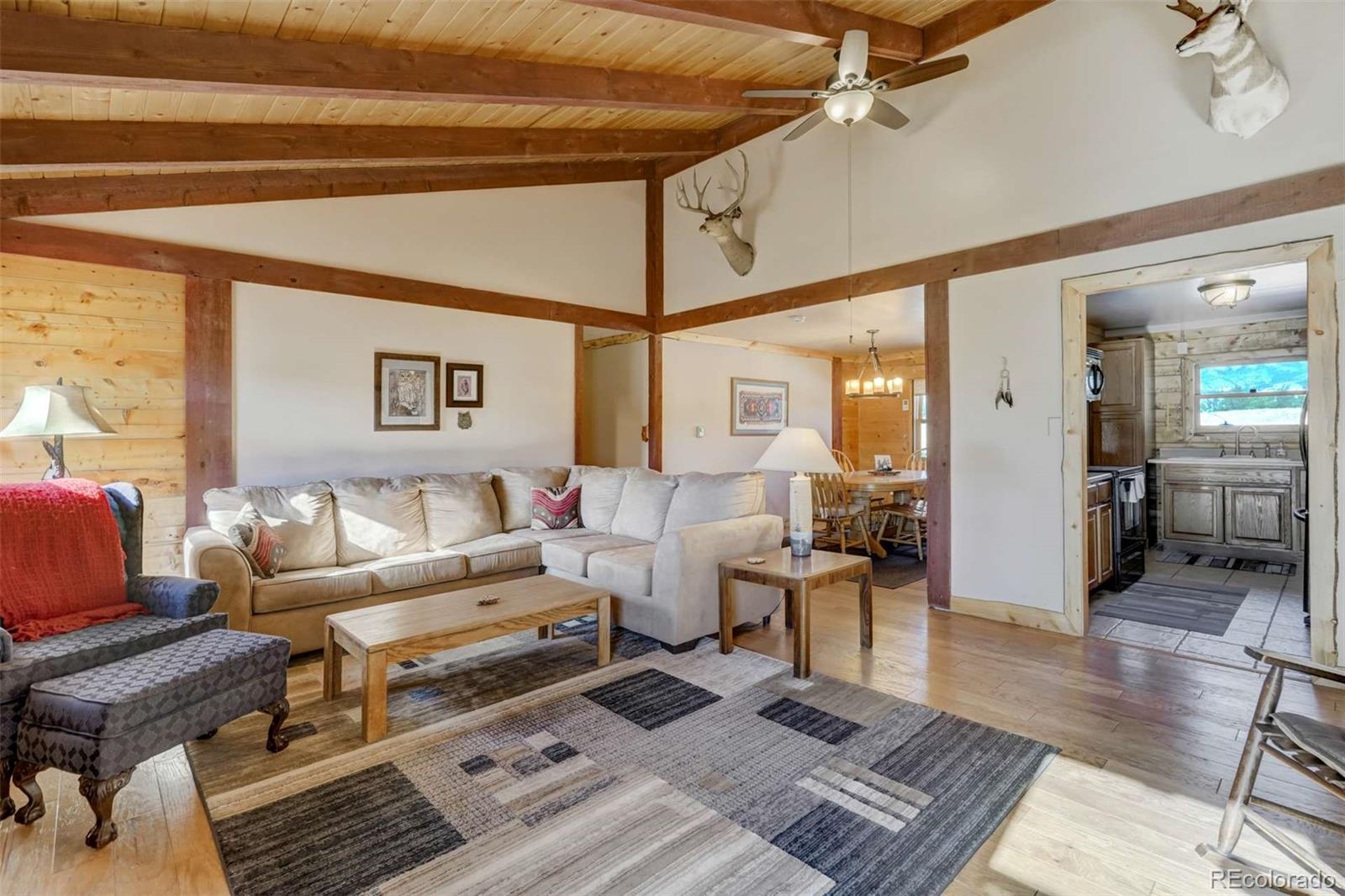MLS Image #10 for 994  deer lane,guffey, Colorado