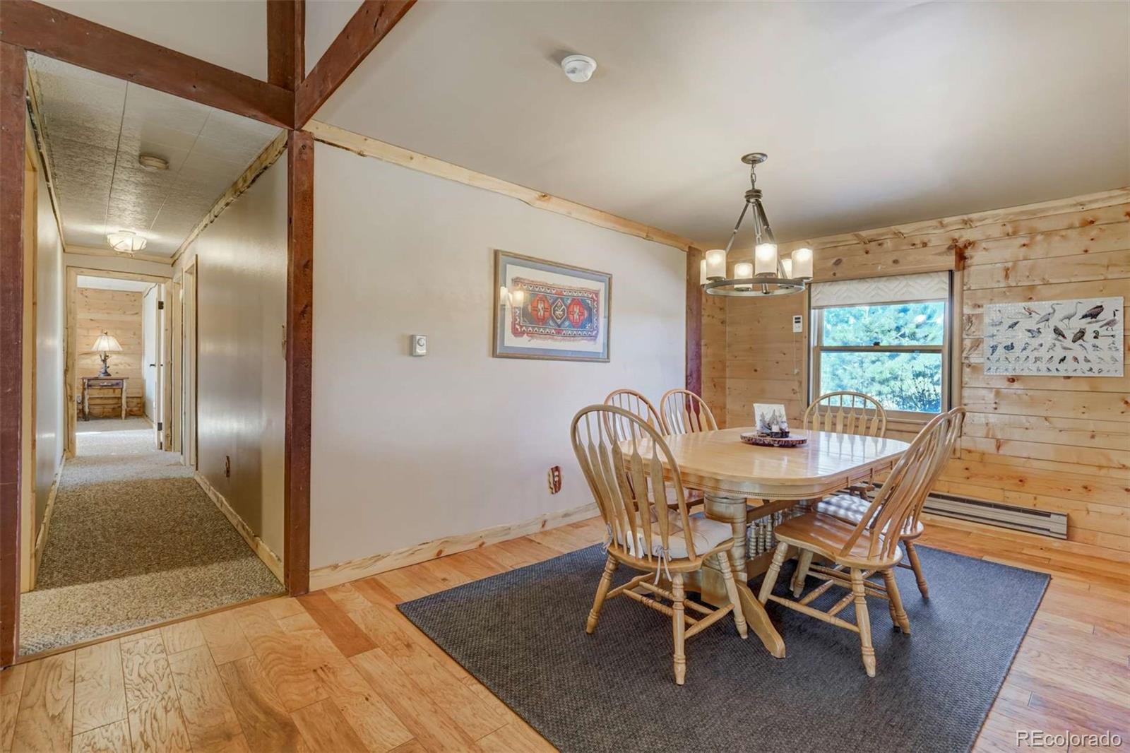 MLS Image #19 for 994  deer lane,guffey, Colorado