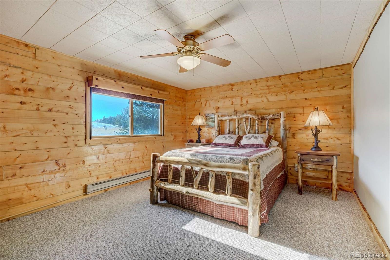 MLS Image #20 for 994  deer lane,guffey, Colorado