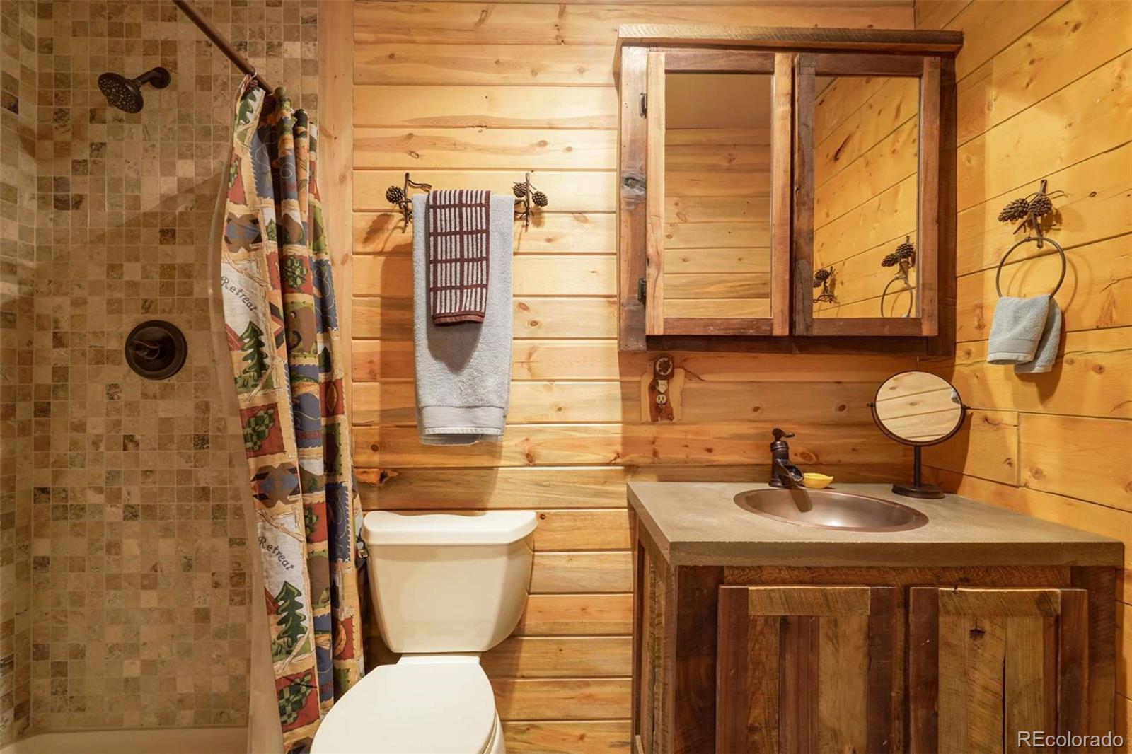 MLS Image #23 for 994  deer lane,guffey, Colorado