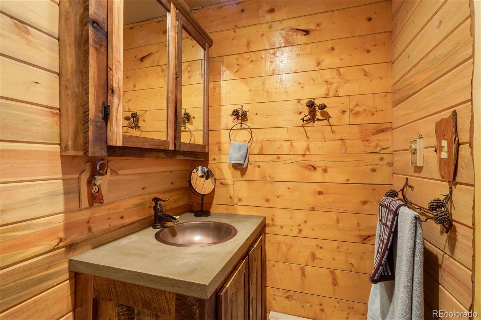 MLS Image #24 for 994  deer lane,guffey, Colorado