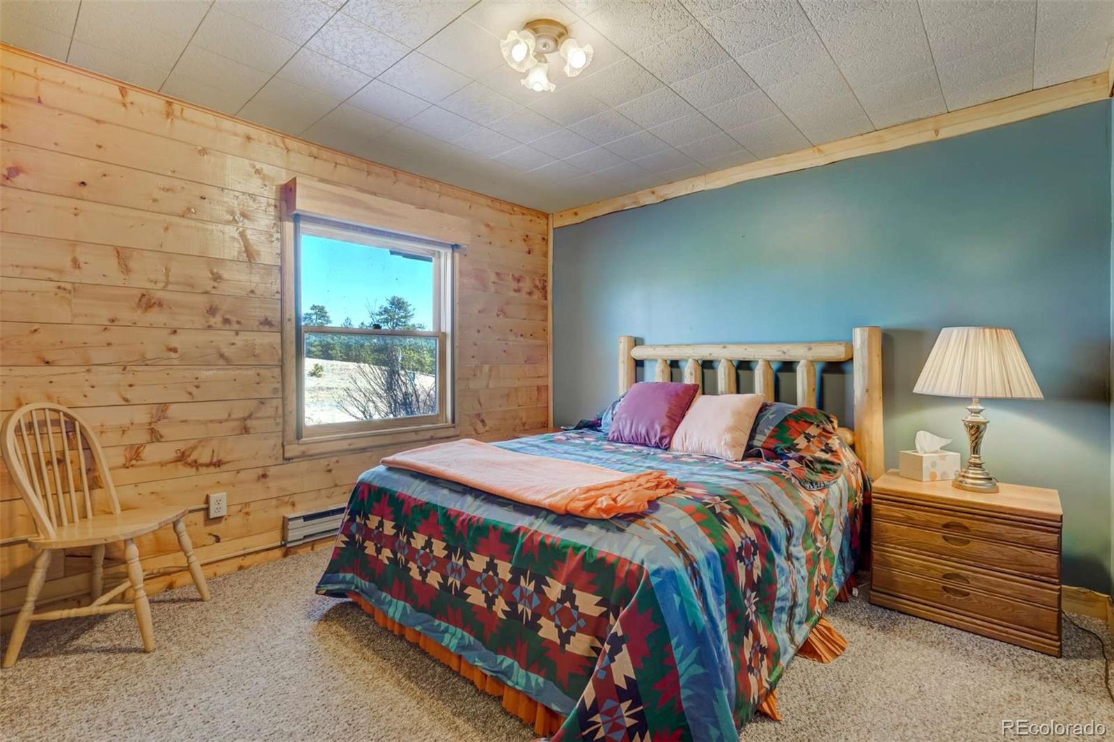 MLS Image #26 for 994  deer lane,guffey, Colorado