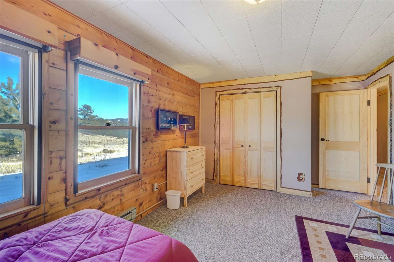 MLS Image #29 for 994  deer lane,guffey, Colorado