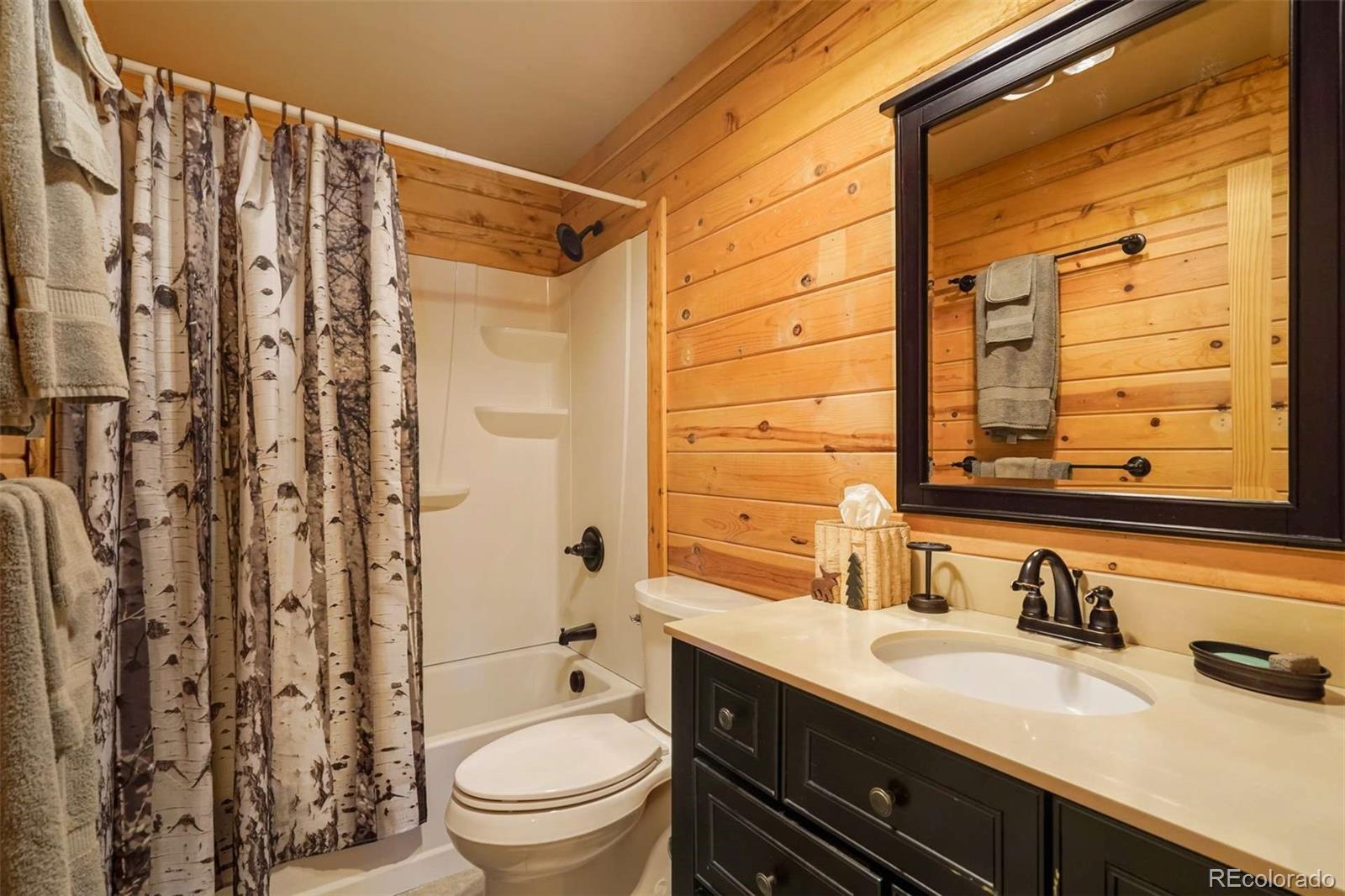 MLS Image #30 for 994  deer lane,guffey, Colorado