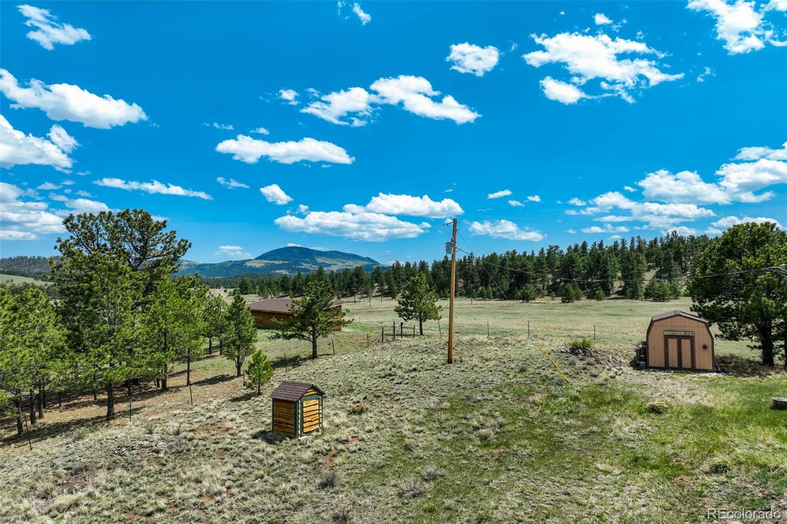 MLS Image #36 for 994  deer lane,guffey, Colorado