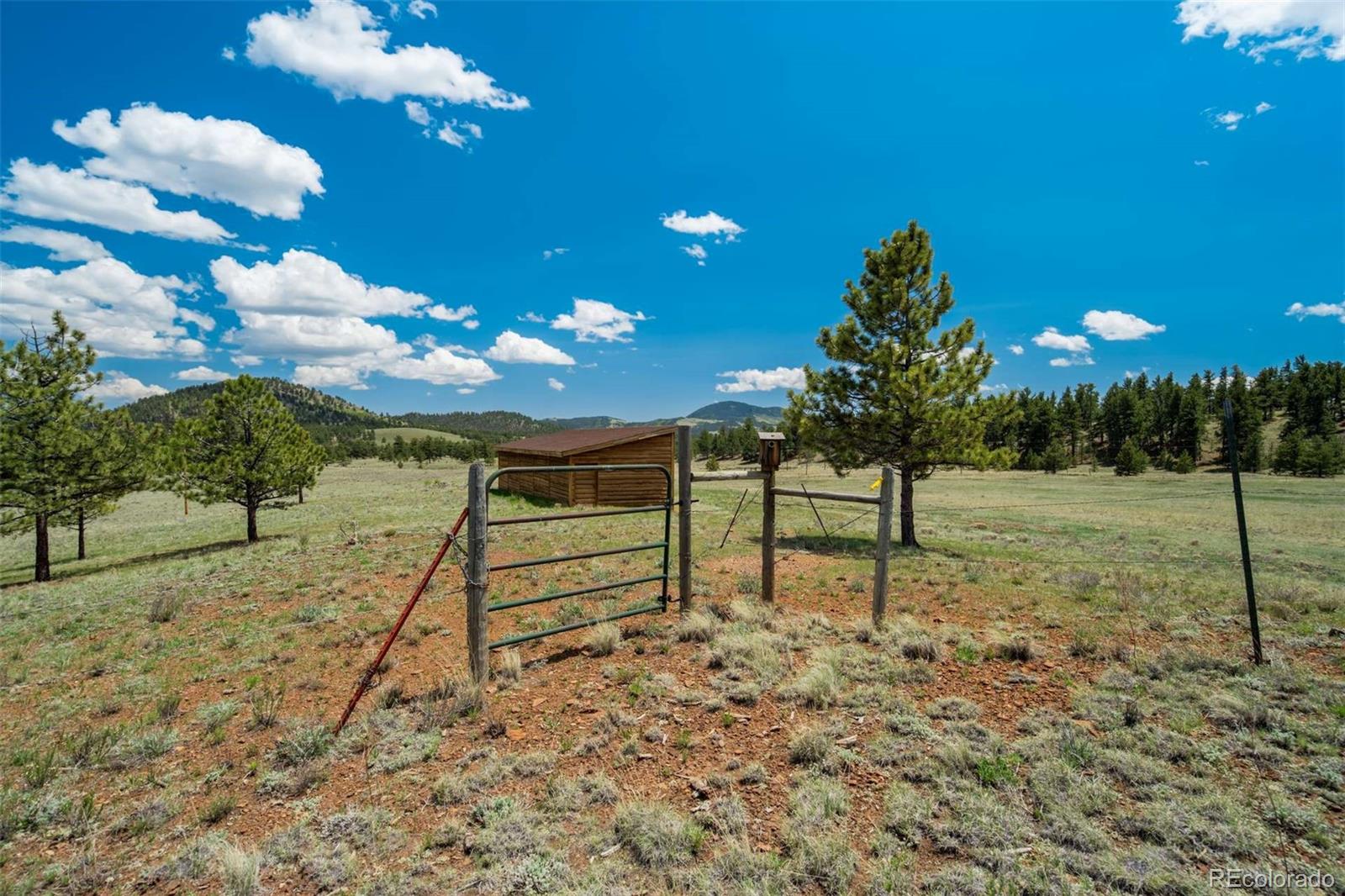 MLS Image #37 for 994  deer lane,guffey, Colorado