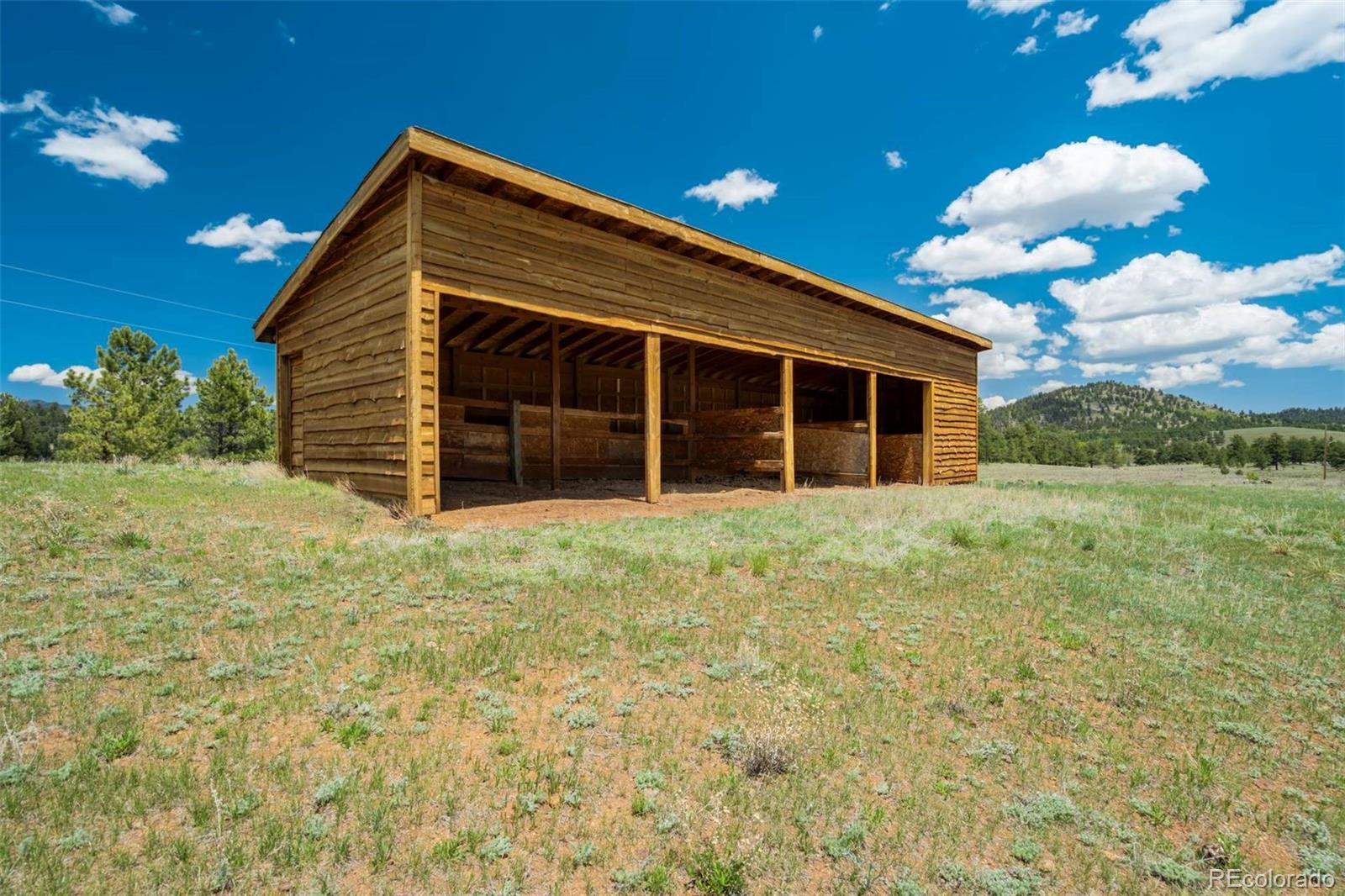 MLS Image #38 for 994  deer lane,guffey, Colorado