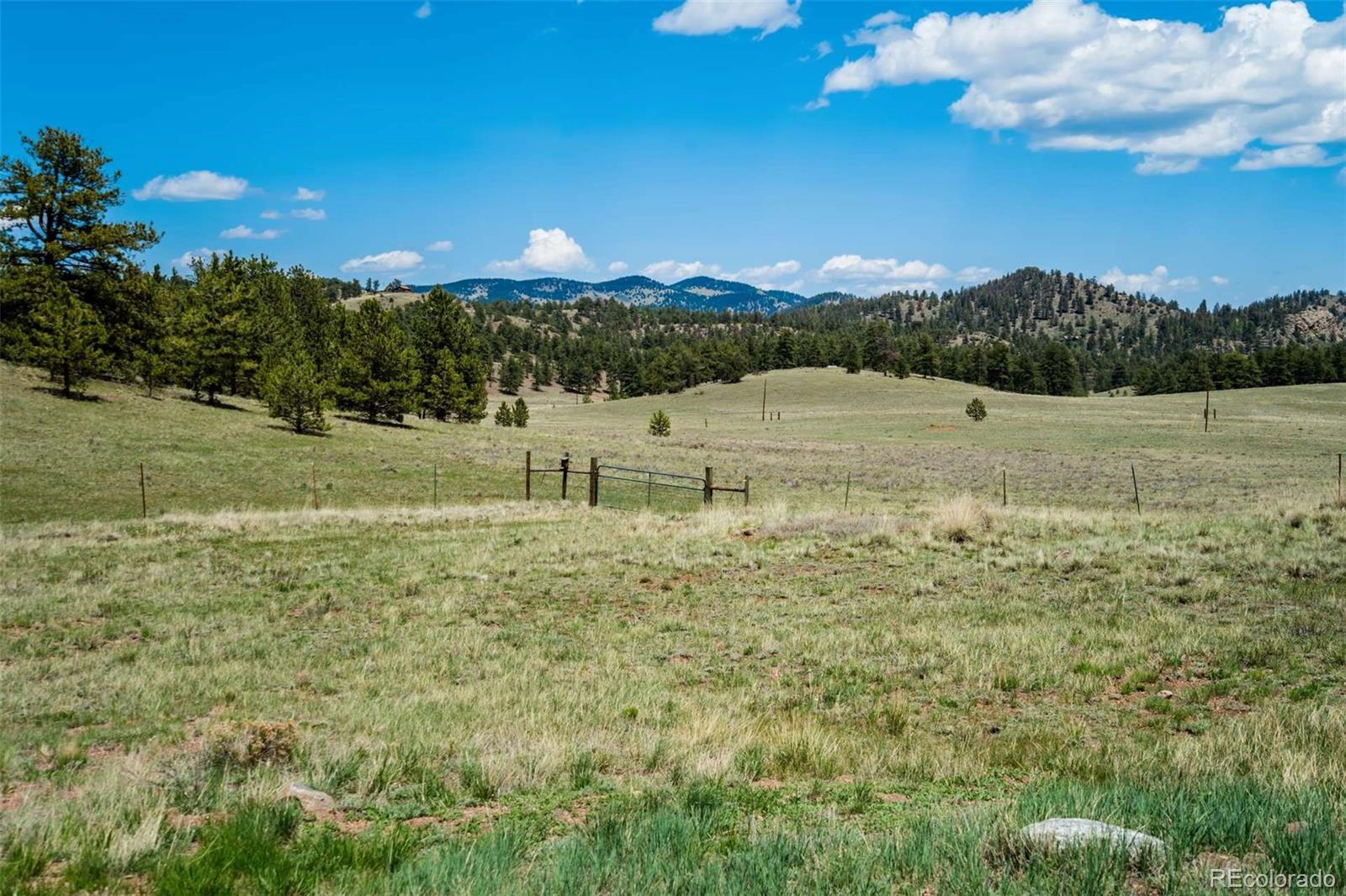 MLS Image #43 for 994  deer lane,guffey, Colorado