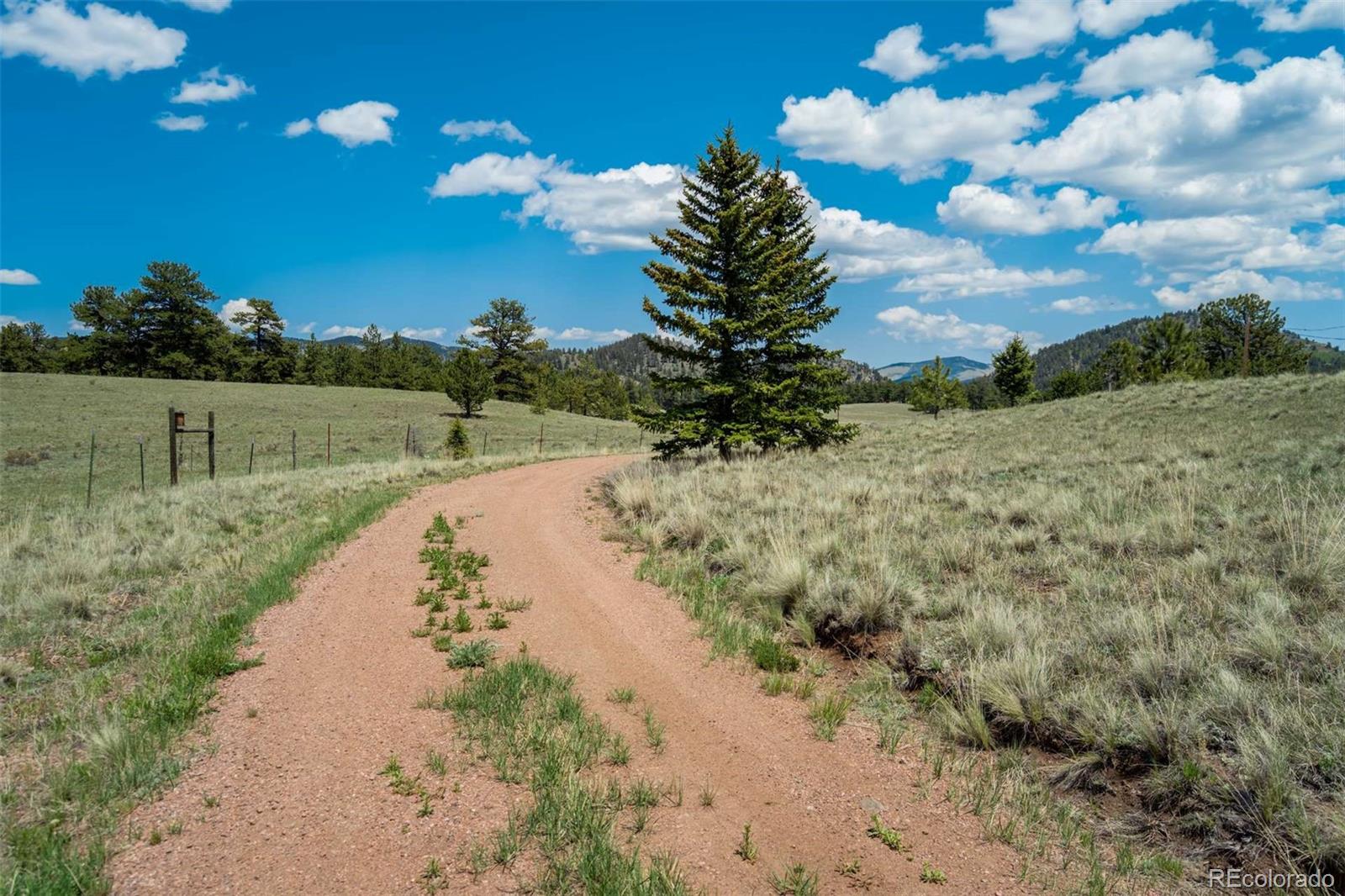 MLS Image #44 for 994  deer lane,guffey, Colorado