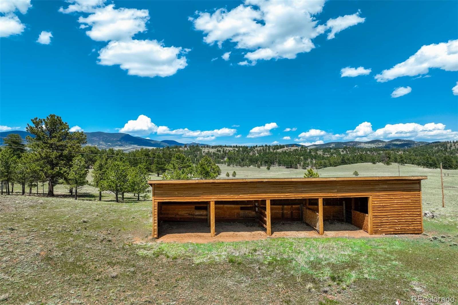 MLS Image #5 for 994  deer lane,guffey, Colorado