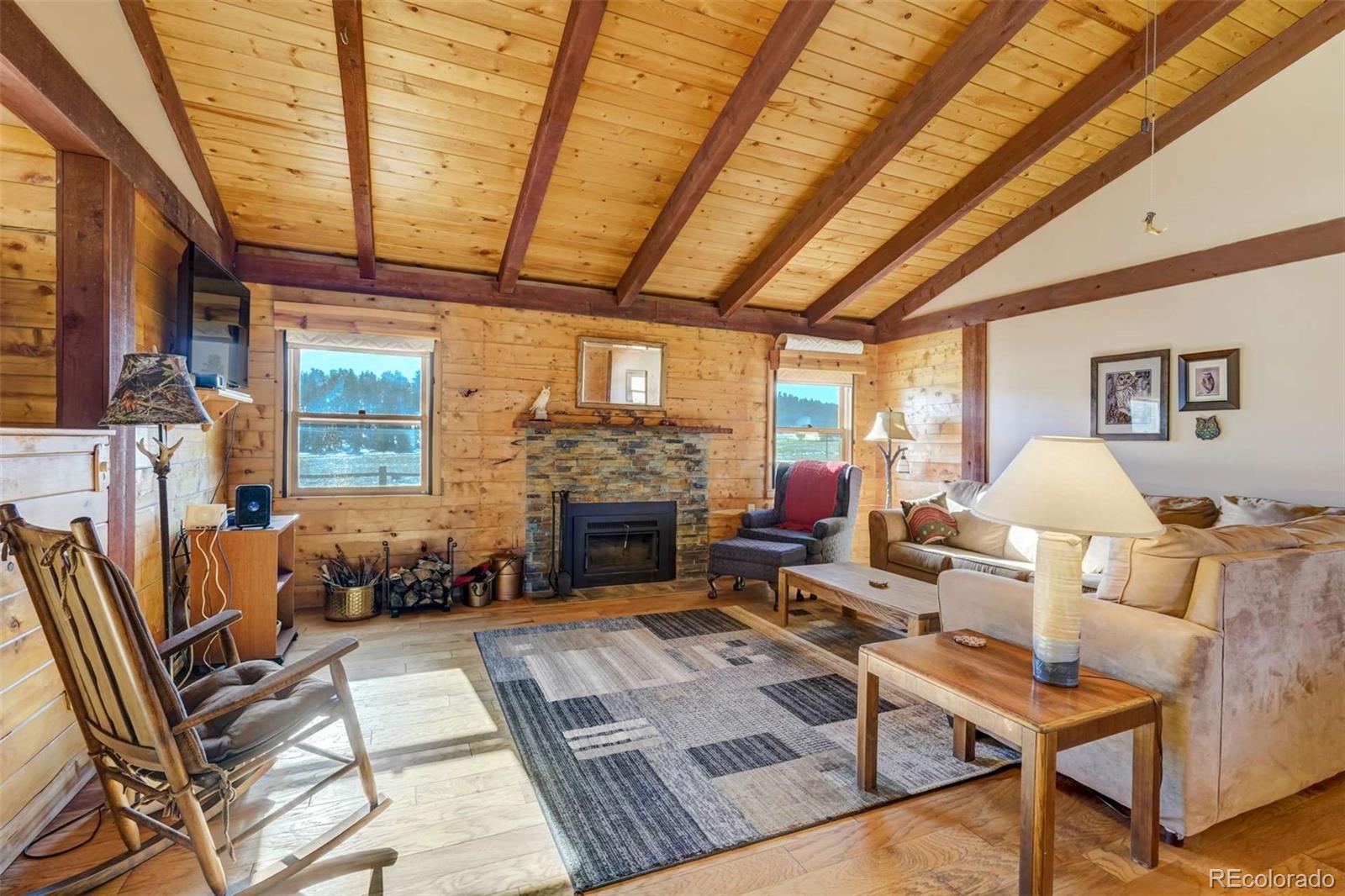 MLS Image #7 for 994  deer lane,guffey, Colorado