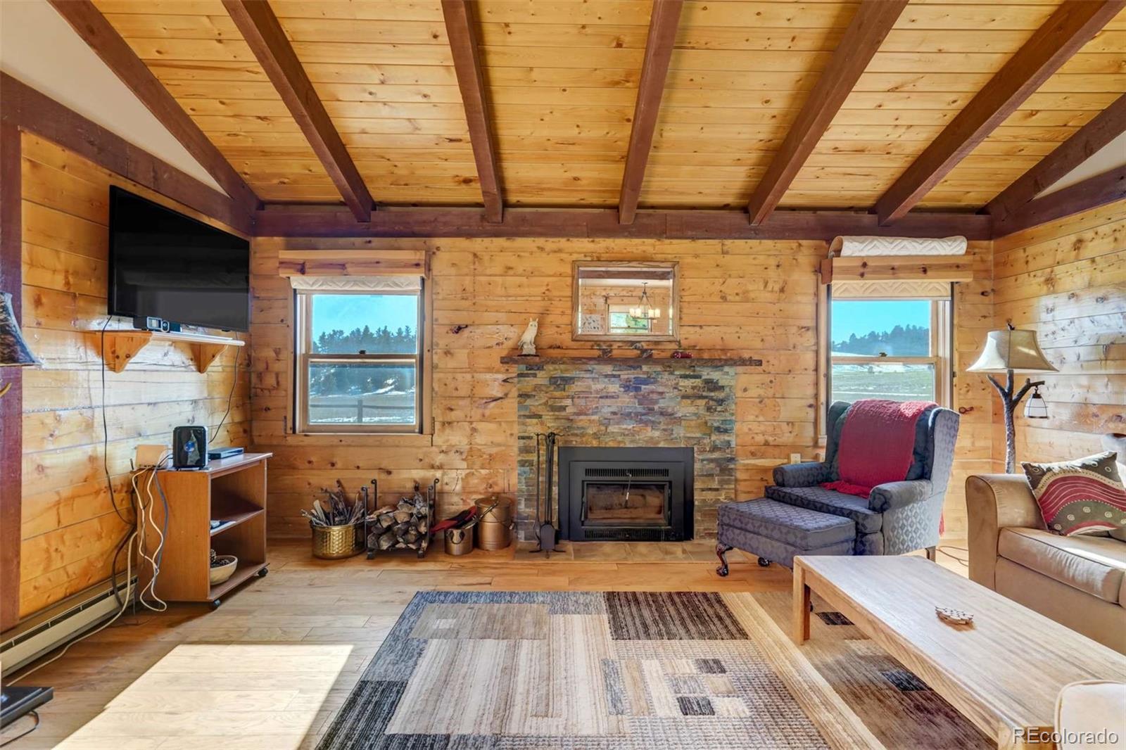 MLS Image #8 for 994  deer lane,guffey, Colorado