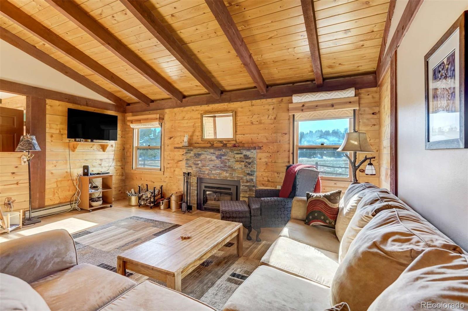 MLS Image #9 for 994  deer lane,guffey, Colorado