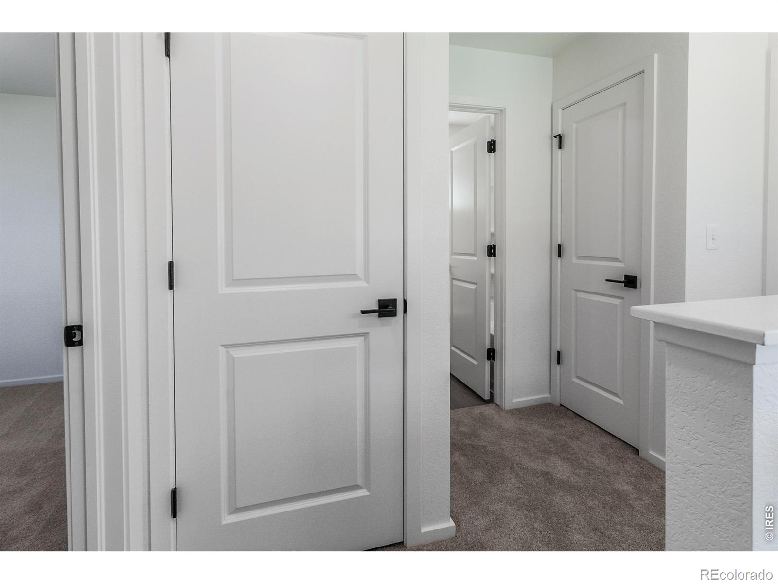 MLS Image #42 for 3277  comet street,fort collins, Colorado