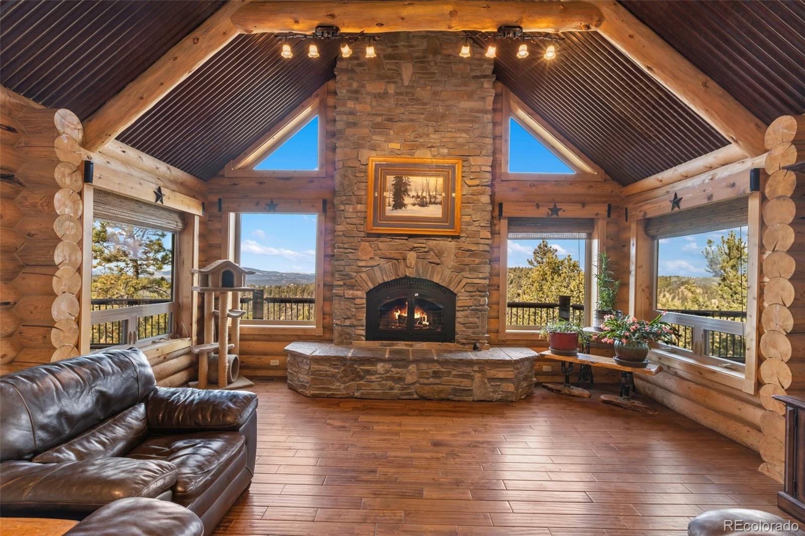 MLS Image #10 for 111  blue spruce road,divide, Colorado
