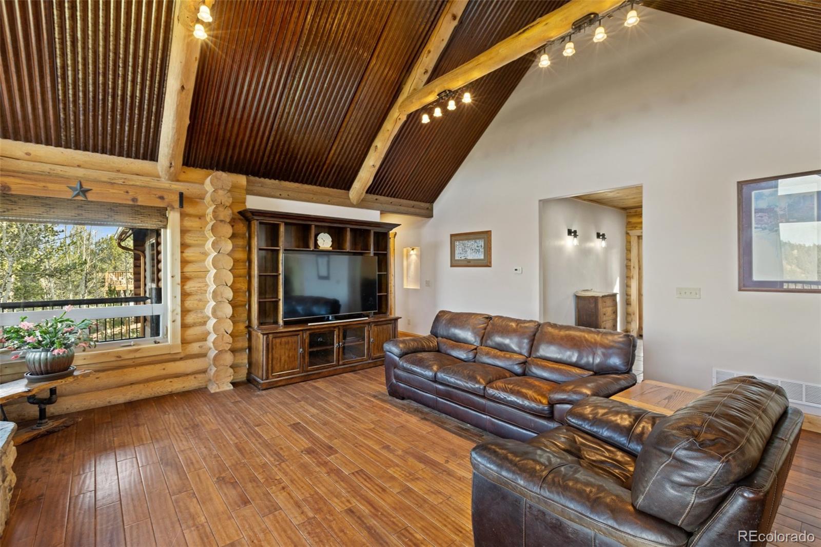 MLS Image #12 for 111  blue spruce road,divide, Colorado