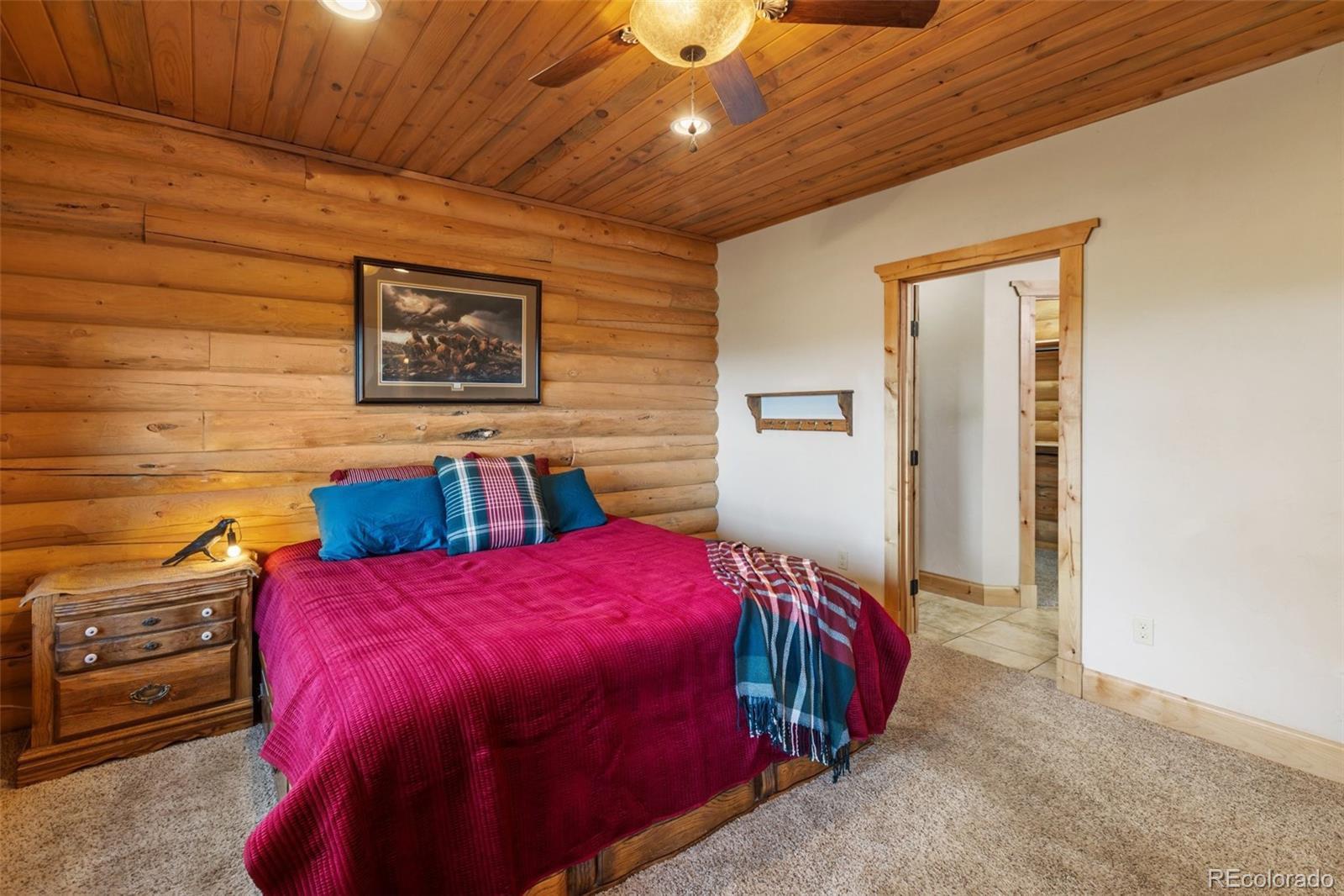 MLS Image #22 for 111  blue spruce road,divide, Colorado