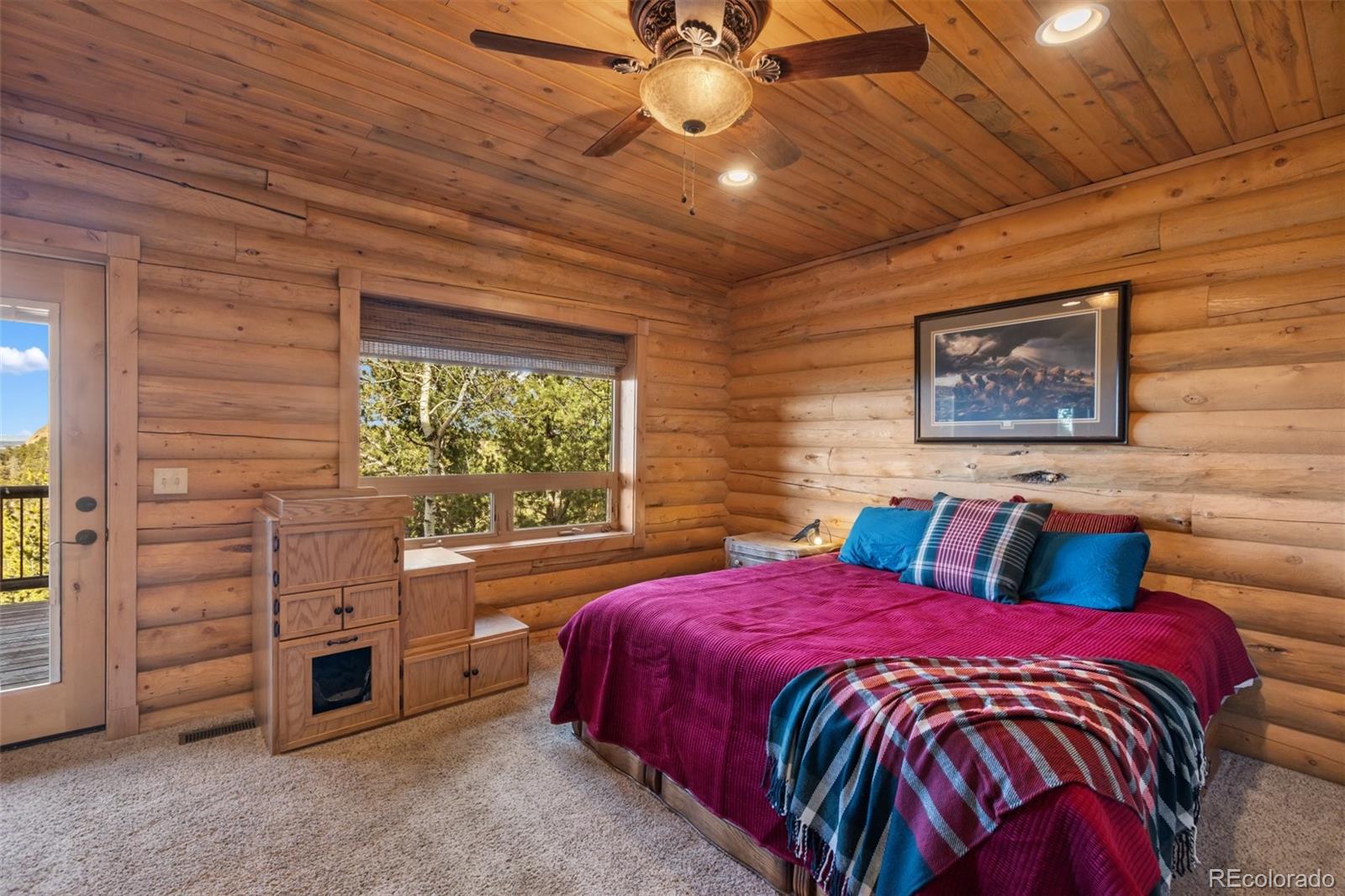 MLS Image #23 for 111  blue spruce road,divide, Colorado