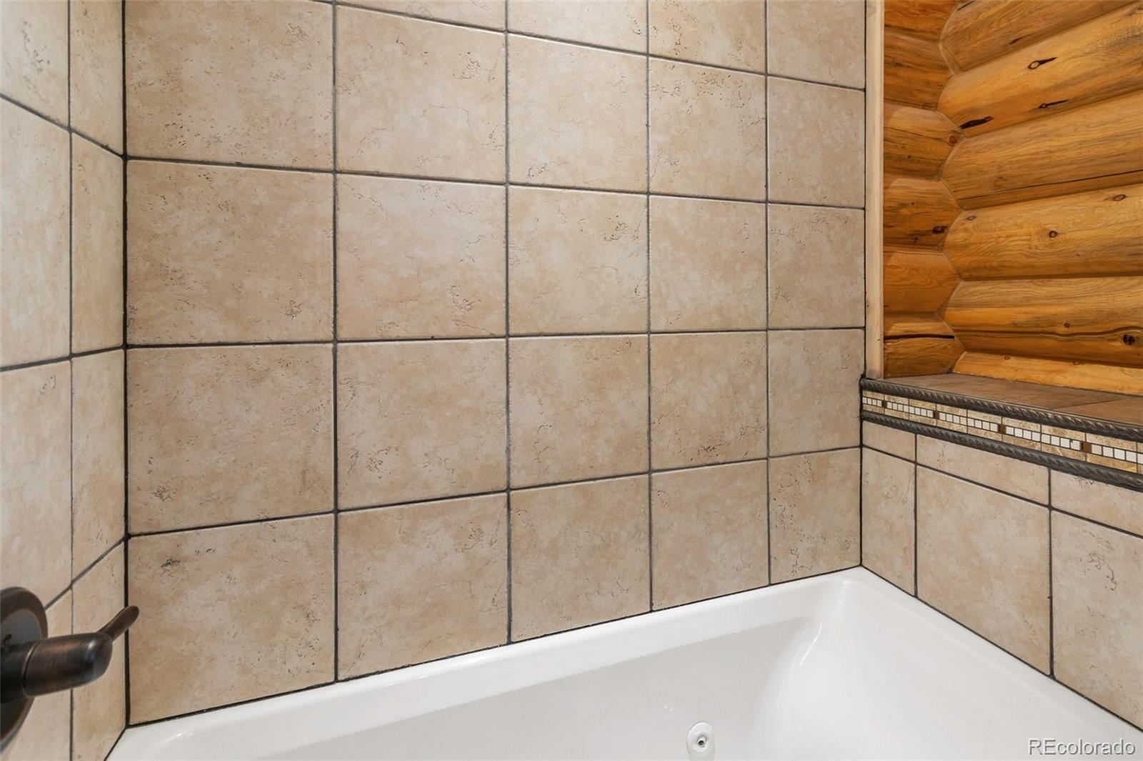 MLS Image #28 for 111  blue spruce road,divide, Colorado